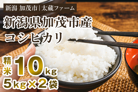 【令和8年産新米先行予約】新潟産 コシヒカリ 精米10kg（5kg×2袋）《10月上旬～順次出荷》 ミネラル豊富な土壌で育ったお米 加茂市 太蔵ファーム