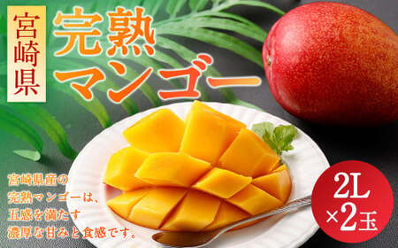 ＜宮崎県 完熟マンゴー2L×2玉 700g＞2026年4月上旬～7月上旬までに順次出荷【HI-f-001】 マンゴー 完熟 果物 くだもの フルーツ 高鍋町