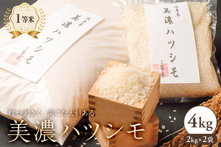2025年産米　美濃ハツシモ　1等米4kg（2kg×2袋）【0021-006】 