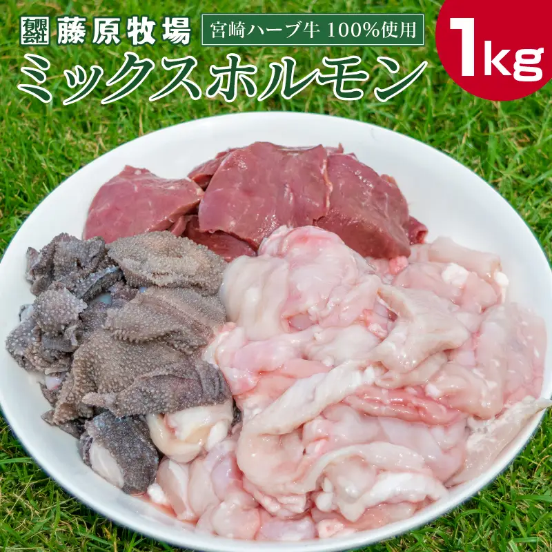 小分けで便利＜宮崎ハーブ牛＞ミックスホルモン（200g×5パック）計1kg【C201】