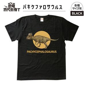 恐竜・古代生物Tシャツ　パキケファロサウルス 036　サイズ140（キッズ・ユニセックス）