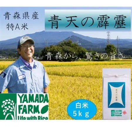 【さつき米】青森県産米「青天の霹靂」白米 5kg_ 精米 米     米 こめ コメ_【1489641】