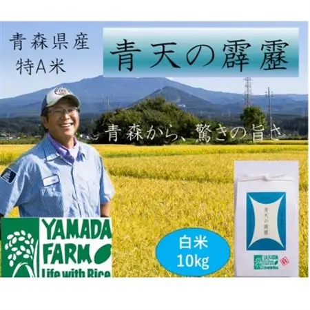 【さつき米】青森県産米「青天の霹靂」白米 10kg_ 精米 米     米 こめ コメ_【1489647】