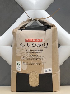 そねはら農園　【穂高有明産】特別栽培米こしひかり「玄米10㎏」　