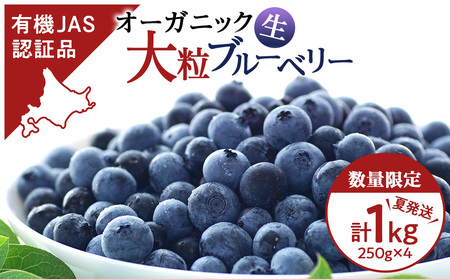 【2026年夏発送】ブルーベリー 数量限定 大粒 有機 無農薬 冷蔵 オーガニック 250g 4パック 1kg 千歳市産 【ベリーファーム】