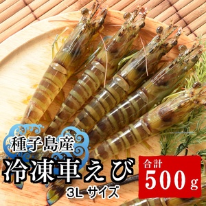 種子島 産 車えび ３L 冷凍 車海老 (250g×2袋) 計500g　NFN553【325pt】