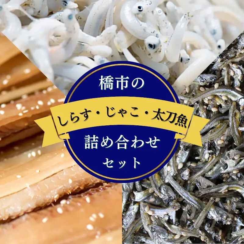 橋市の詰め合わせセットM（釜揚げしらす500g・じゃこの佃煮300g・太刀魚のみりん干し500g）※北海道・沖縄・離島配送不可 / 干物 味醂干し おつまみ ご飯のお供 シラス 冷蔵 お取り寄せ 和歌山県 田辺市【has010-2】