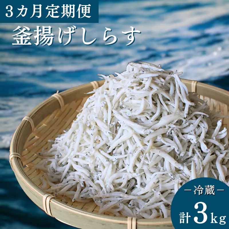 【3カ月定期便】釜揚げしらす（ご家庭用）計3kg（1kg×3回）※北海道・沖縄・離島配送不可 / しらす丼 丼ぶり シラス 家庭用 冷蔵 お取り寄せ 和歌山県 田辺市 【has011-tk】