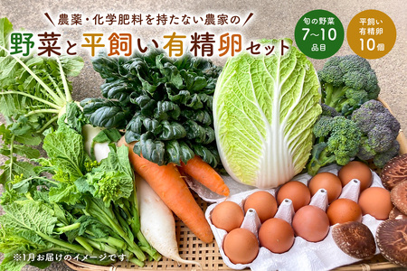 1月発送　農薬・化学肥料を持たない農家の野菜（7～10種類）と 平飼有精卵のセット mi0036-0017-01 野菜