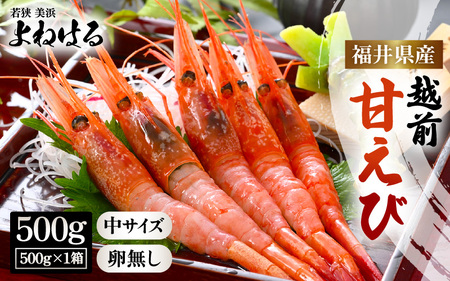 天然！越前甘エビ(卵なし) 中サイズ 500g × 1(約35尾入り) 船内凍結 酸化防止剤不使用！ 海老 甘えび [m17-a057]