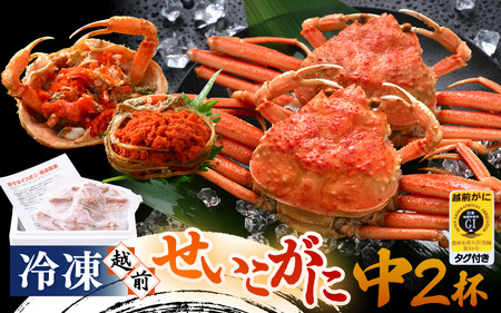 《冷凍》獲れたて!茹でたての 越前せいこがに 中 2杯 越前がに メス せいこがに　[m17-a060]
