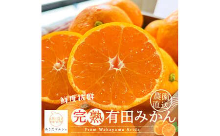 【12月発送】農園直送！完熟有田みかん 約5kg+200g【サイズ混合】 | 予約 和歌山 有田みかん みかん【ard003D-12】