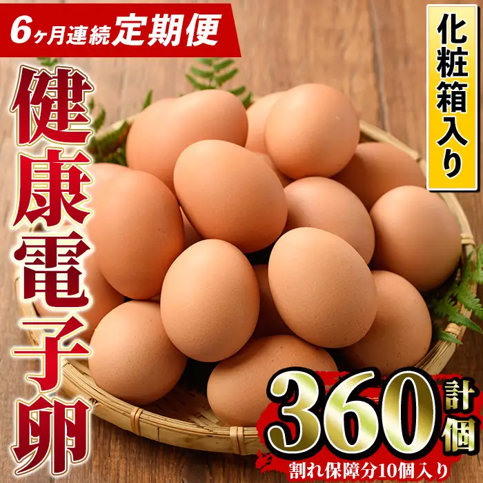 【6か月定期便】健康電子卵(計60個 計120個 全6回お届け♪ ）【00-095-05-TK】