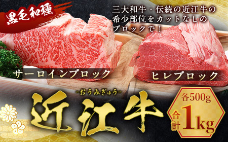 近江牛 サーロイン ヒレ ブロック 1kg 各 500g ブロック肉
