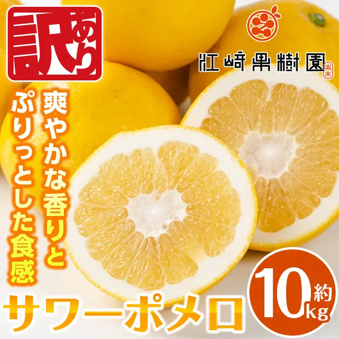 i917 ＜2026年3月上旬～5月下旬の間に発送予定＞＜訳あり＞サワーポメロ(約10kg) 柑橘 サワーポメロ 鹿児島県 国産 果物 フルーツ みかん 文旦 ボンタン 訳あり 【江崎果樹園】