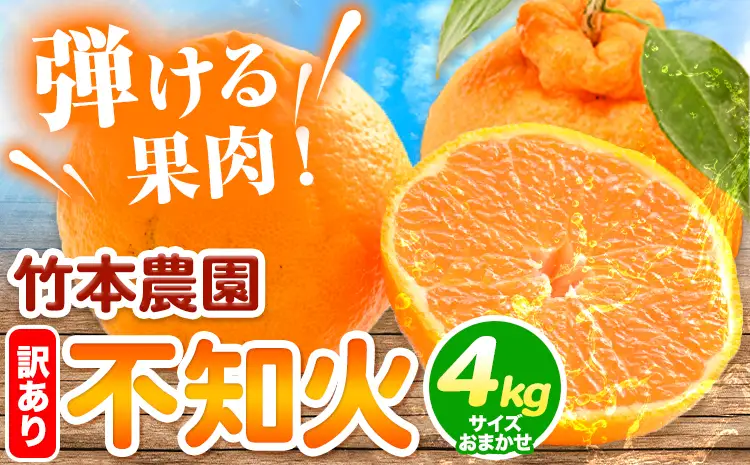 訳あり 不知火 4kg しらぬい