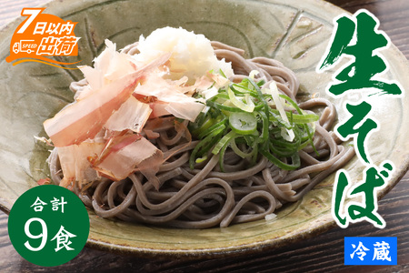 ヤマサ製麺 越前そば 9食 （3食袋×3） [A-120003] 