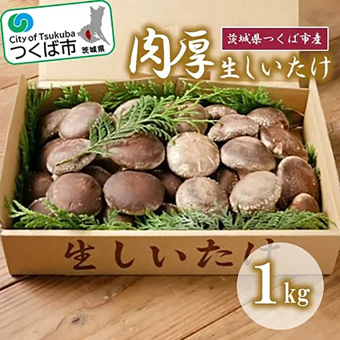 生しいたけ 原木栽培 椎茸
