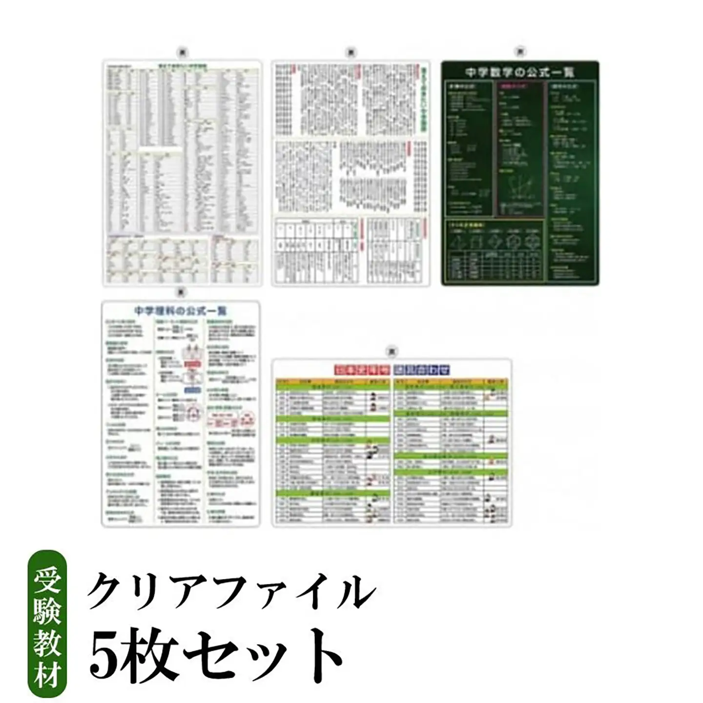 受験教材クリアファイル 5枚セット │ 茨城県 教材 つくば市 教材 クリアファイル 文房具 教材 ツール 高校受験 暗記 記憶 視覚 勉強 学習 受験 テスト 試験 隙間時間 中学生 理科 国語 数学 歴史 英語 5教科 セット フライング・エッグ  教材
