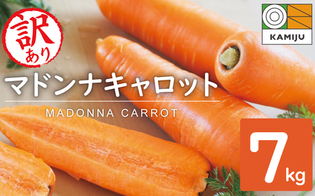 【予約受付】＜フジテレビ『どっちのふるさと？』で紹介されました！＞訳あり！こどもも食べられる甘み！「マドンナキャロット」 7kg にんじん 人参 ニンジン 野菜 やさい 国産 碧南市 健康 食品ロス削減 甘い 先行予約 旬 特産 高評価 高リピート 人気　H105-192