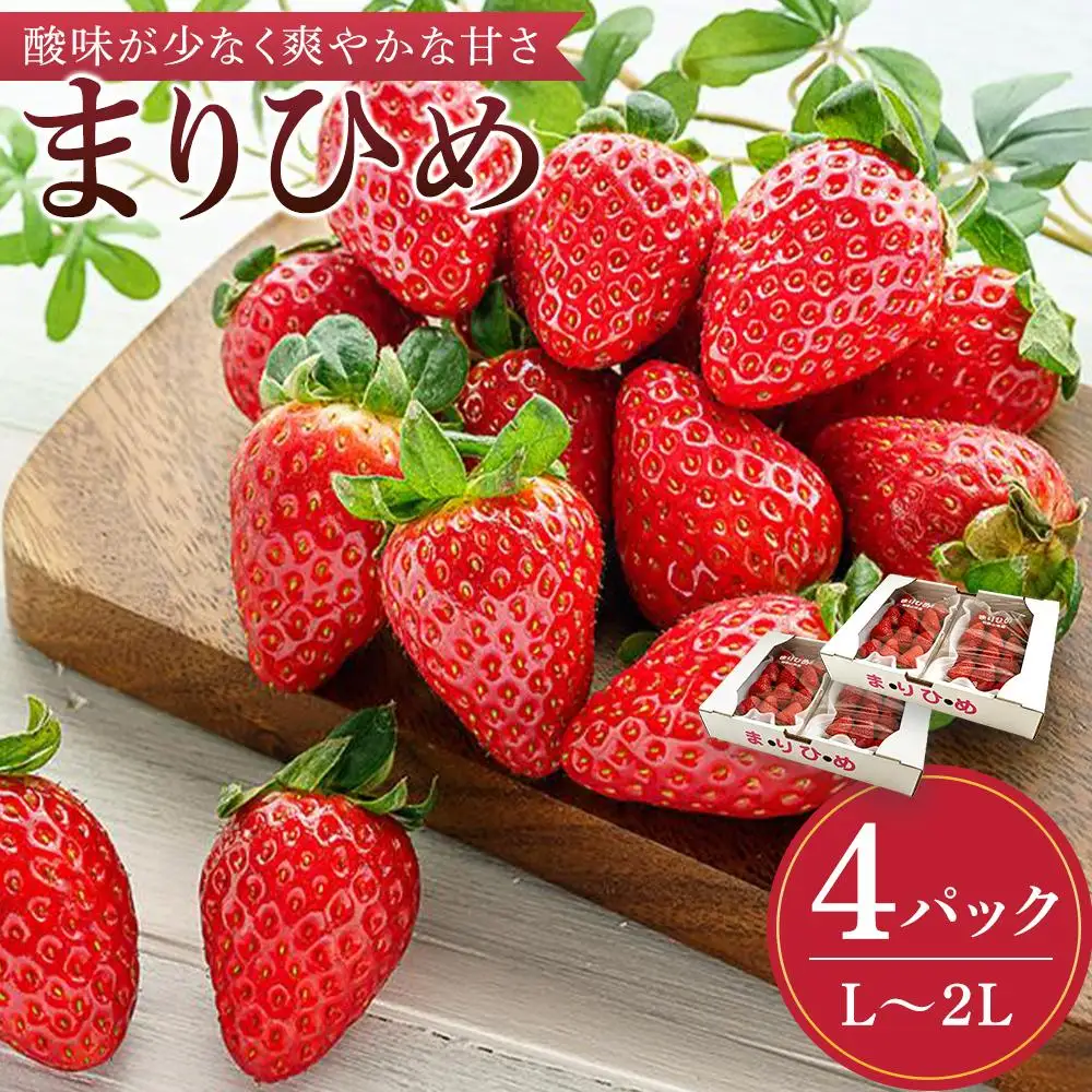 まりひめイチゴ L～2L 12粒～15粒×4パック［2027年1月中旬から発送］［先行販売］［KG8］