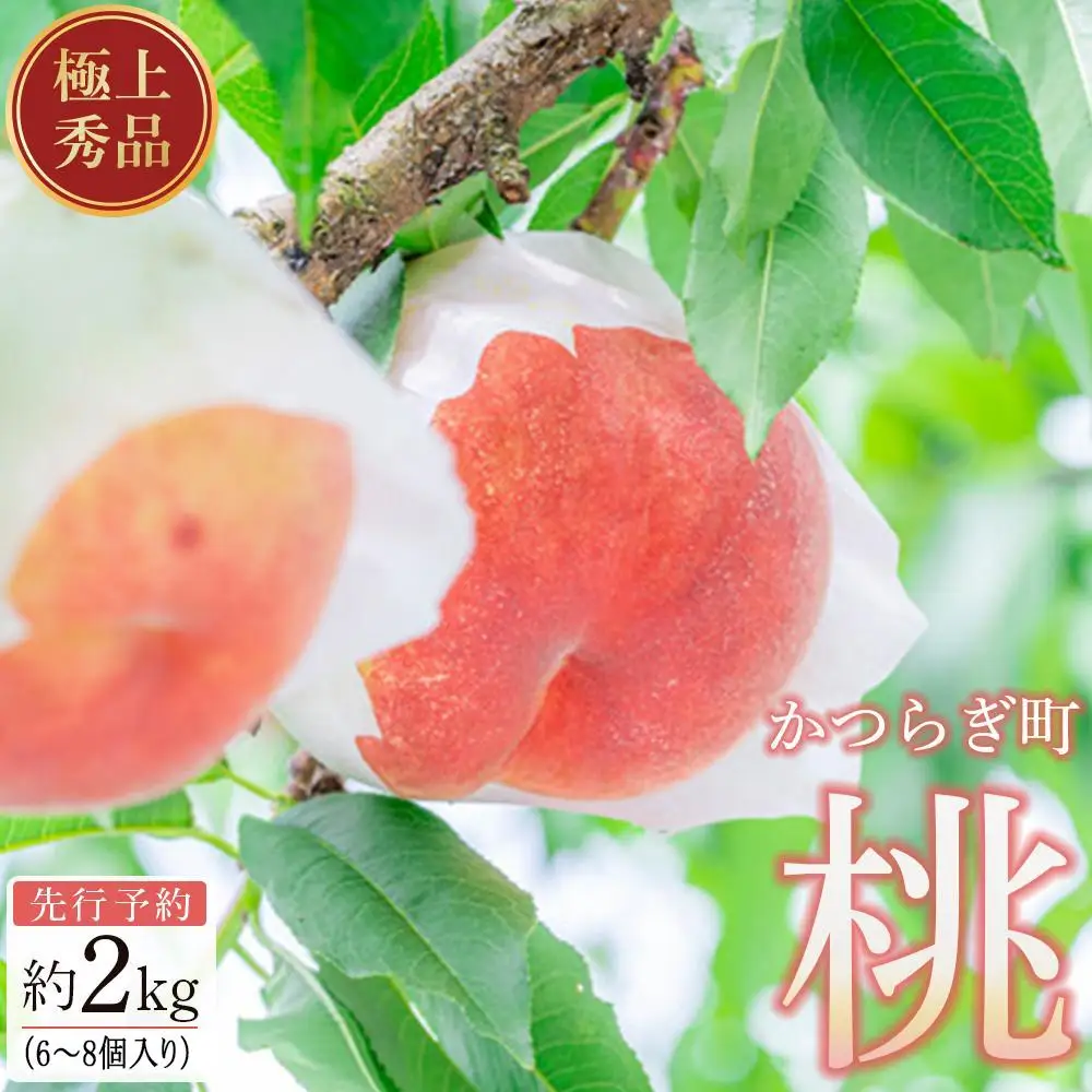 桃 極上秀品 約2kg 6～8個入【先行予約】【2025年6月下旬頃から7月下旬頃順次発送】こだわり農家厳選【KG2】桃