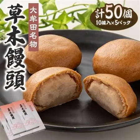 大牟田名物 江口栄商店 草木饅頭 50個入_菓子・スイーツ 饅頭