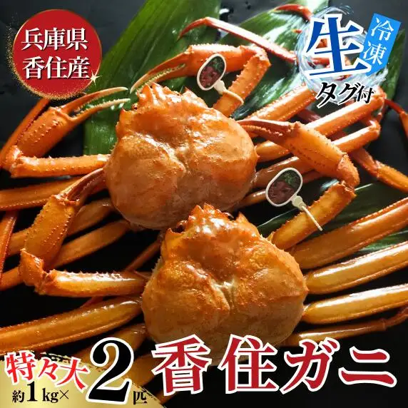 《先行予約》 香住ガニ 活〆 タグ付き 特々大 約1.0kg×2匹（合計約2.0kg以上）冷凍【令和9年2月中旬以降発送予定】紅ズワイガニ かに カニ 07-114