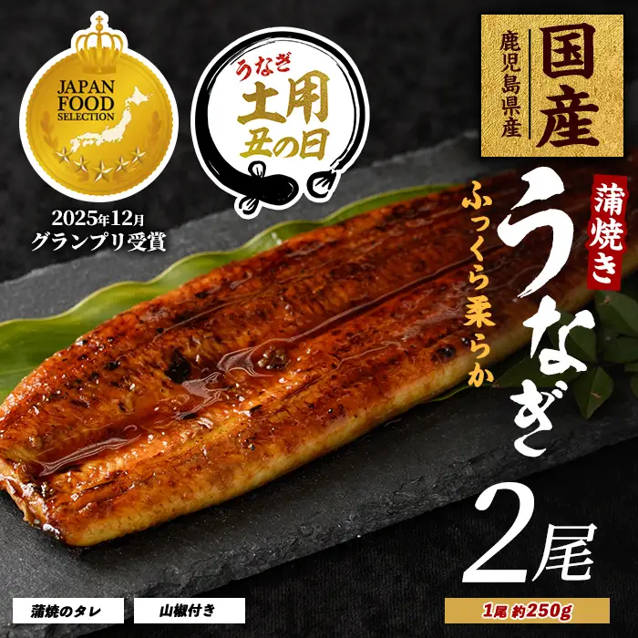 【丑の日に合わせてお届け！】【鹿児島県産】うなぎ蒲焼じっくり焼き約250g×2尾 木目化粧箱入り(大新/IB021-001u) うなぎ