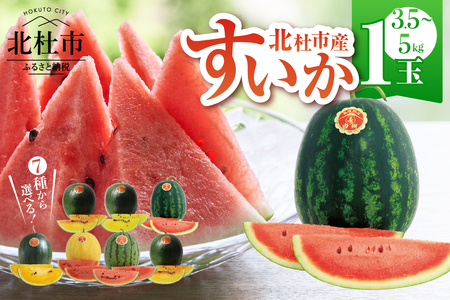 【2026年先行予約】北杜市白州産すいか「すいかばか！」のこだわりの特選すいか セレブシリーズと名水甲羅の中から1玉 [h047]