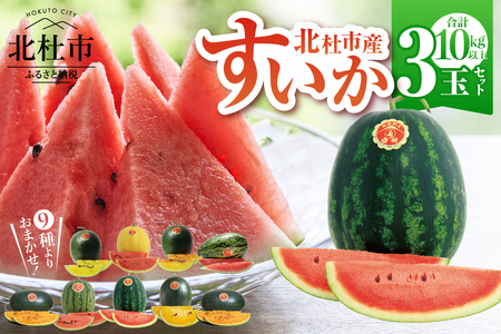 【2026年先行予約】北杜市白州産すいか「すいかばか！」のこだわりの特選すいか セレブシリーズと名水甲羅の中から2玉・戦水甘シリーズ1玉 豪華3玉セット [h047]