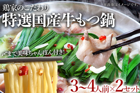 特選「鶏家」のもつ鍋セット 【3～4人前×2セット】 合計6～8人前 モツ鍋 牛ホルモン もつなべ ホルモン鍋 牛モツ もつ鍋 博多もつ鍋 牛もつ鍋 鍋セット ギフト 贈り物 冷凍 送料無料