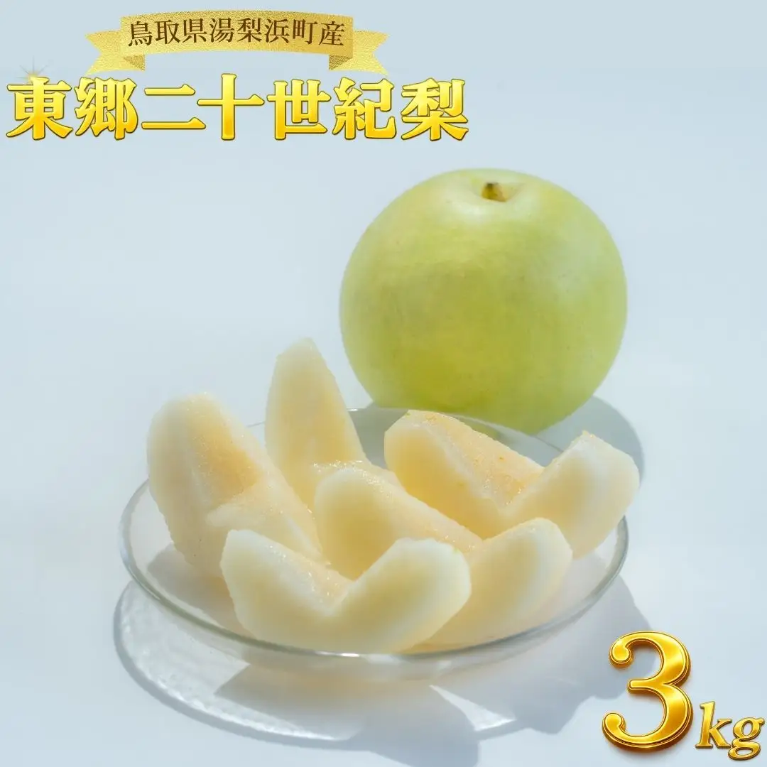 梨 東郷 二十世紀 3kg 鳥取県産 | 5M