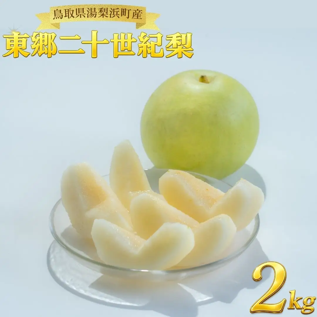 梨 東郷 二十世紀 2kg 鳥取県産 | 6M