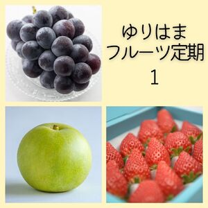フルーツ 定期便 3種 果物 鳥取県産 ゆりはま 1 | 35M