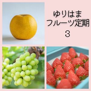 フルーツ 定期便 3種 果物 鳥取県産 ゆりはま 3 | 37M