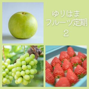 フルーツ 定期便 3種 果物 鳥取県産 ゆりはま 2 | 36M
