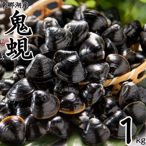 大粒 しじみ 東郷湖産 鬼蜆 特大 冷凍 1kg | 砂抜き不要 60M