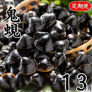 大粒 定期便 しじみ 東郷湖産 鬼蜆 特大 冷凍 1kg | 砂抜き不要 61M