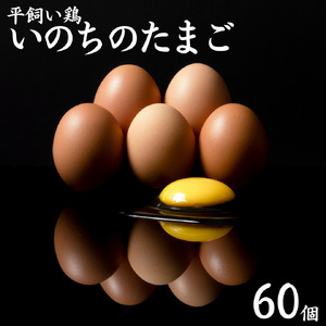 産地直送 卵 60個 食べチョク アワード 2025 総合4位 受賞 平飼い 鶏 いのちの たまご | タマゴ 玉子 112M
