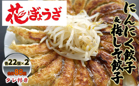 にんにく餃子(22個入り×2袋)と梅しそ餃子(22個入り×2袋)のセット 惣菜 冷凍餃子 中華 夕飯 夜ごはん おかず 食べ比べ おつまみ ビールのおつまみ 