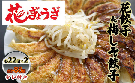 花餃子(22個入×2袋)と梅しそ餃子(22個入×2袋)のセット  惣菜 冷凍餃子 中華 夕飯 夜ごはん おかず 食べ比べ おつまみ ビールのおつまみ 