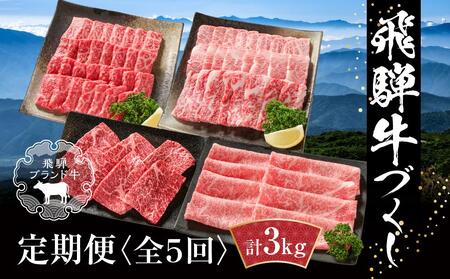 【定期便】飛騨牛 全５回（焼肉・すき焼き・ステーキ）計3kg | 焼肉 ステーキ カルビ 食べ比べ 牛 定期【飛騨高山ミート MZ100】〔国産和牛定期便  牛肉定期便 ステーキ  飛騨牛定期便　５回〕　