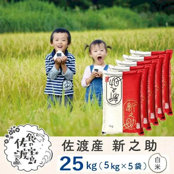 佐渡島産 新之助 白米25kg(5kg×5袋）令和7年産 【食の宝島佐渡】