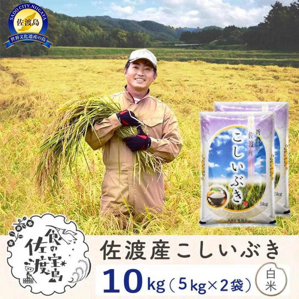 佐渡島産こしいぶき 白米10Kg(5Kg×2袋） 令和7年 ～農薬5割減～ 農家直送
