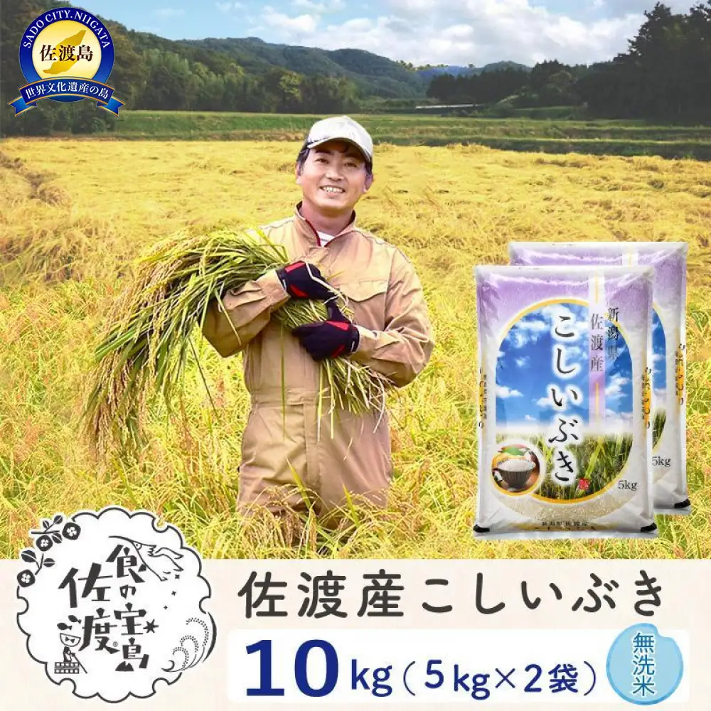 佐渡島産こしいぶき 無洗米10Kg(5Kg×2袋） 令和7年 ～農薬5割減～ 農家直送