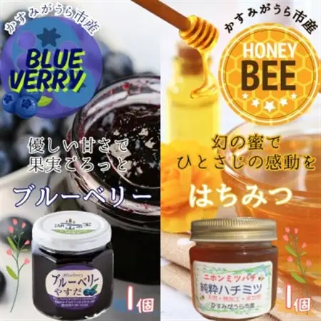 かすみがうら市産　『日本みつばち』の純粋はちみつ ＆ ブルーベリージャム_調味料 はちみつ  ハチミツ 蜂蜜  惣菜・加工品 ジャム 缶詰・瓶詰 _【1489614】