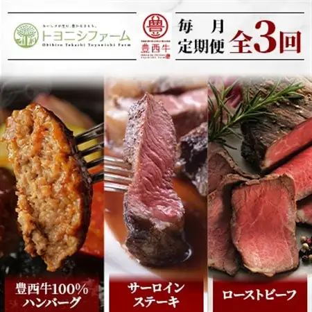 【毎月定期便】豊西牛100%ハンバーグ・サーロインステーキ・ローストビーフセット 全3回_肉 ハンバーグ 牛肉   肉 ステーキ 牛肉 ビーフステーキ  肉 ローストビーフ 牛肉   定期便 定期便  _【配送不可地域：離島】【4006676】
