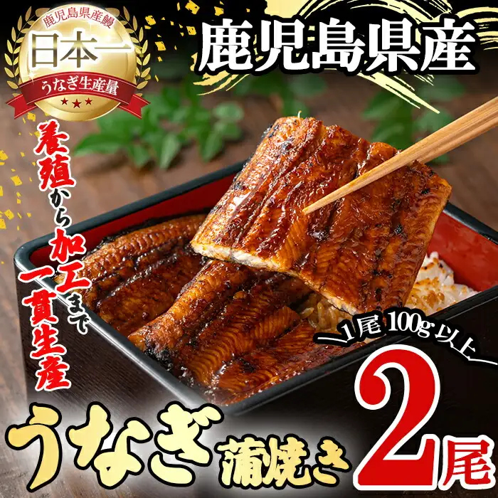 桜林養鰻のうなぎ蒲焼 計200g以上(100g以上×2尾) 鰻 うなぎ ウナギ うなぎ  蒲焼き かばやき 国産 九州産 鹿児島県産 冷凍 真空パック 簡単 うな丼 うな重 ひつまぶし 惣菜 おかず a3-195