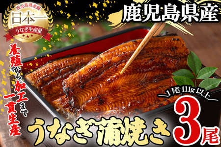 桜林養鰻のうなぎ蒲焼 計333g以上(111g以上×3尾) 鰻 うなぎ ウナギ うなぎ  蒲焼き かばやき 国産 九州産 鹿児島県産 冷凍 真空パック 簡単 うな丼 うな重 ひつまぶし 惣菜 おかず b0-175